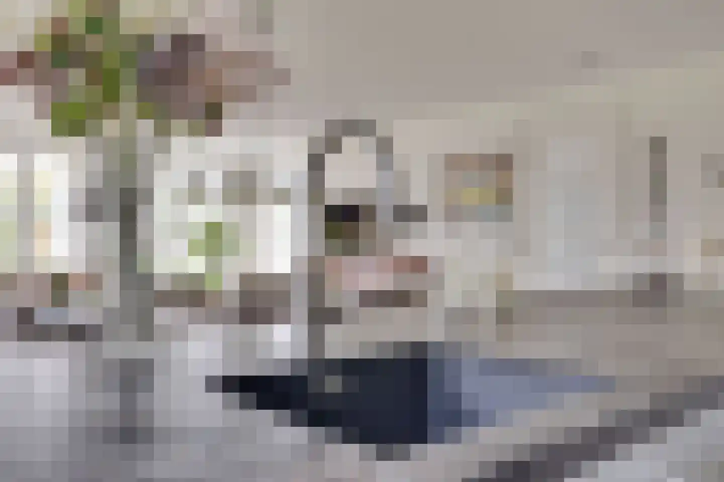 Molenweg 2 F Epe thumbnail 14