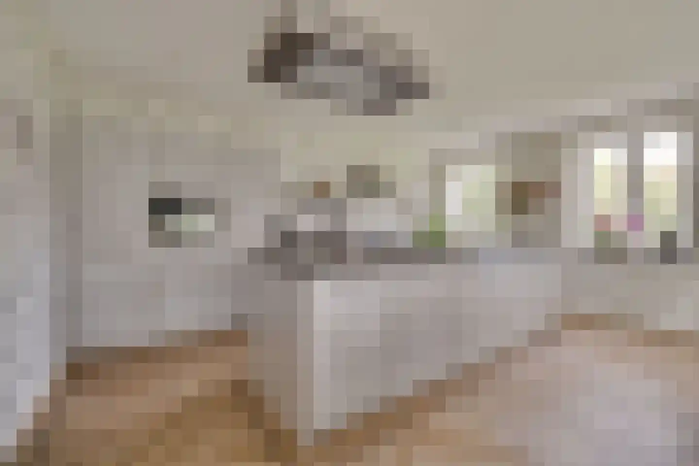 Molenweg 2 F Epe thumbnail 15