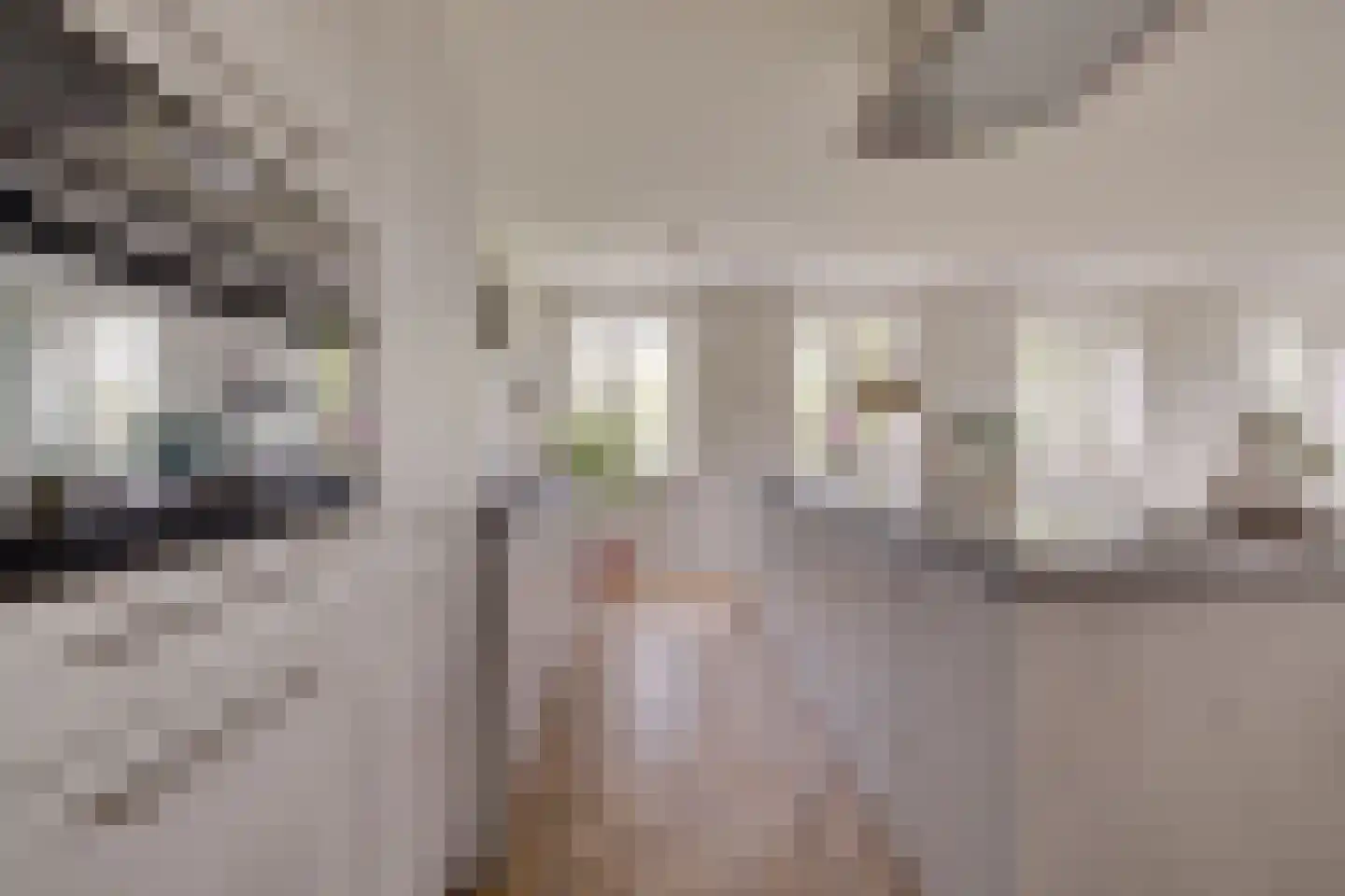 Molenweg 2 F Epe thumbnail 16