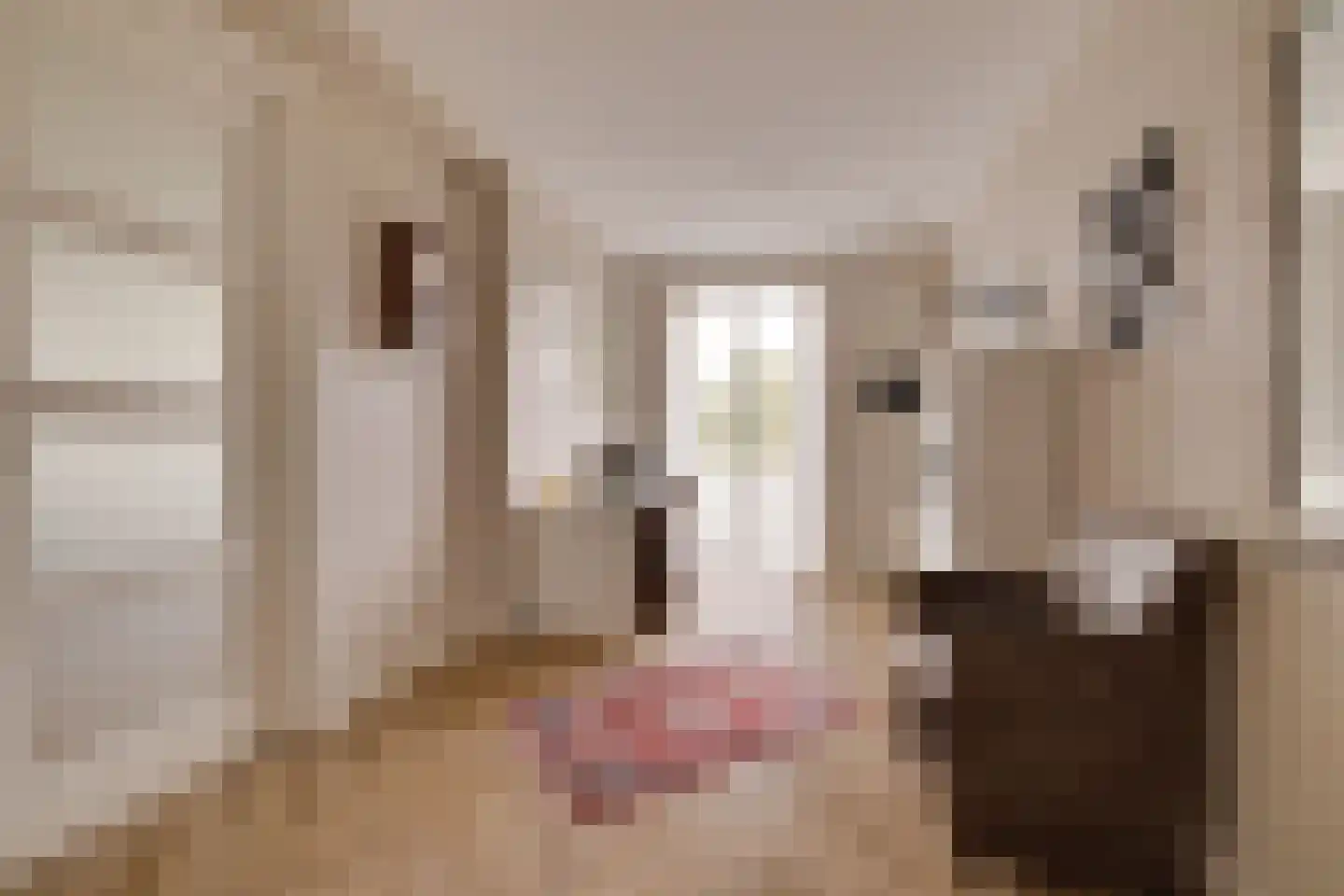 Molenweg 2 F Epe thumbnail 17