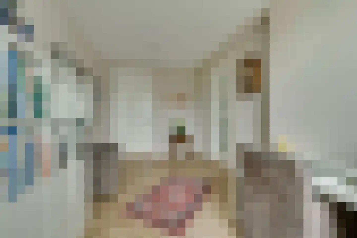 Molenweg 2 F Epe thumbnail 18
