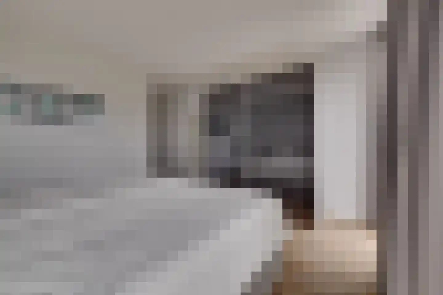Molenweg 2 F Epe thumbnail 21