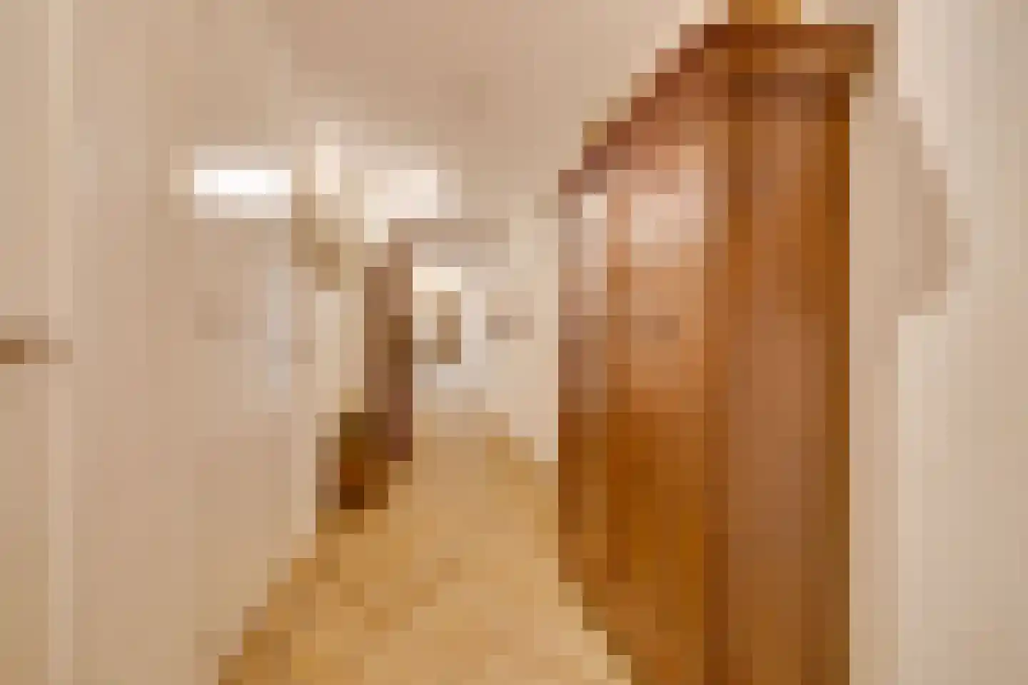 Molenweg 2 F Epe thumbnail 29