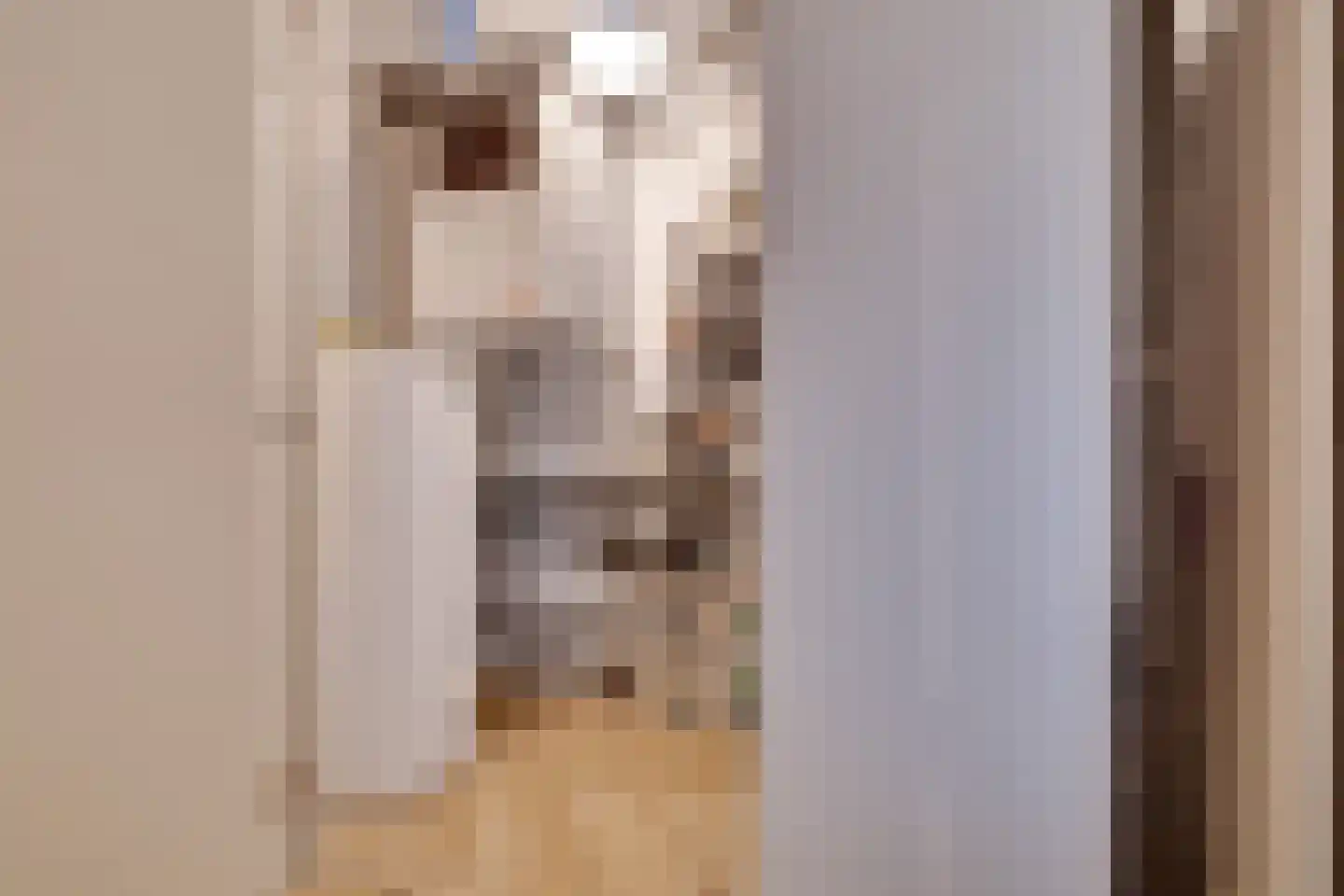 Molenweg 2 F Epe thumbnail 30