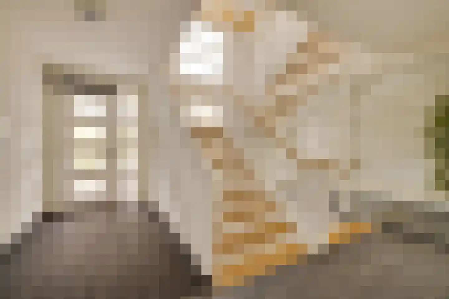 Molenweg 2 F Epe thumbnail 32