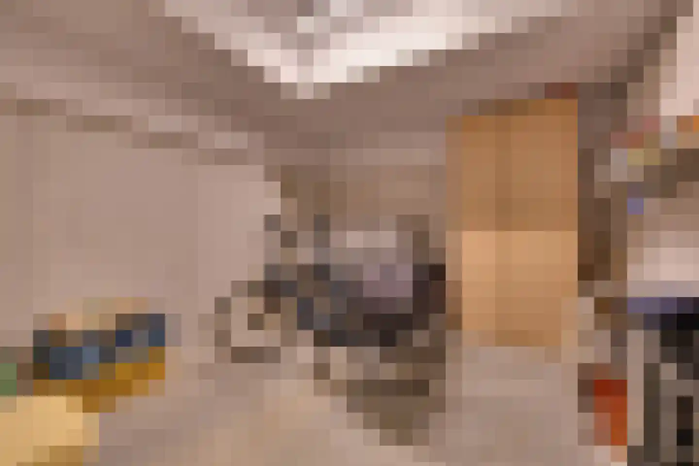 Molenweg 2 F Epe thumbnail 33