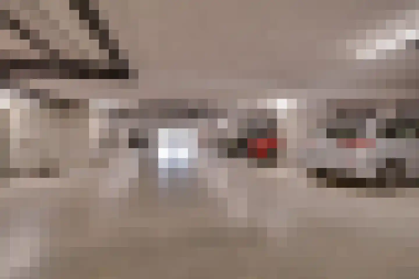 Molenweg 2 F Epe thumbnail 34