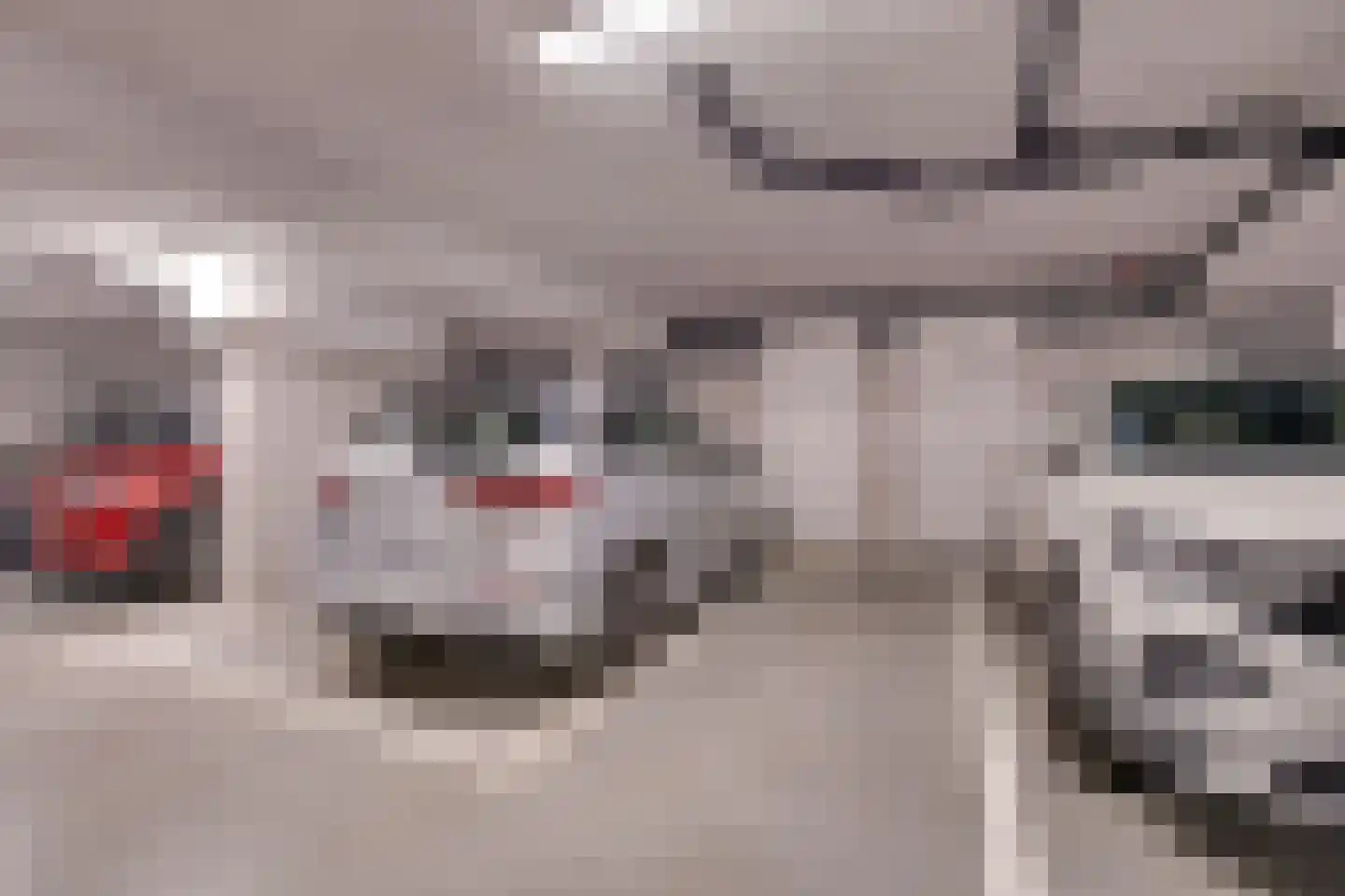 Molenweg 2 F Epe thumbnail 35