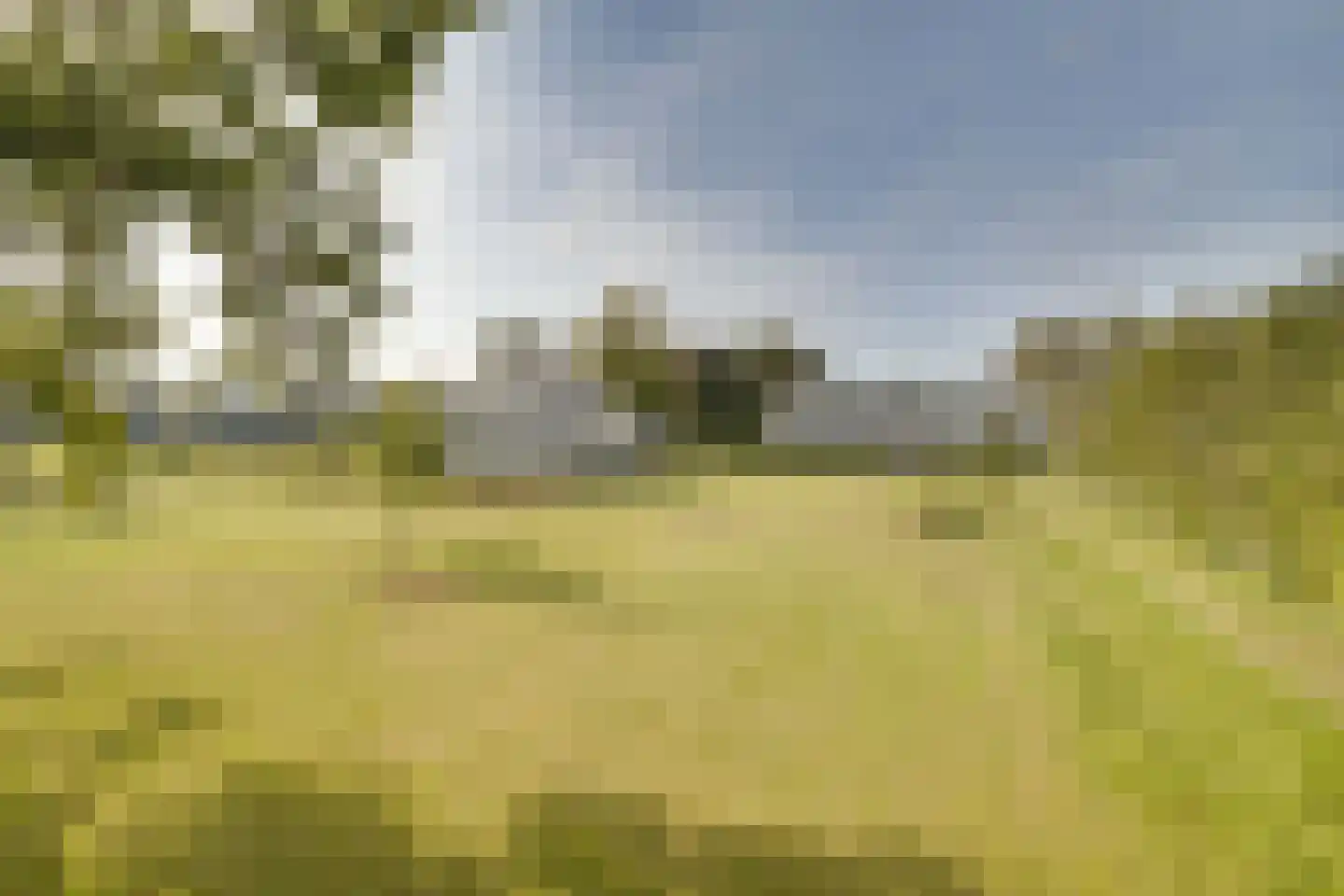 Molenweg 2 F Epe thumbnail 45
