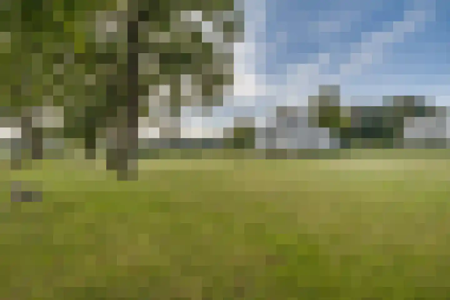 Molenweg 2 F Epe thumbnail 47