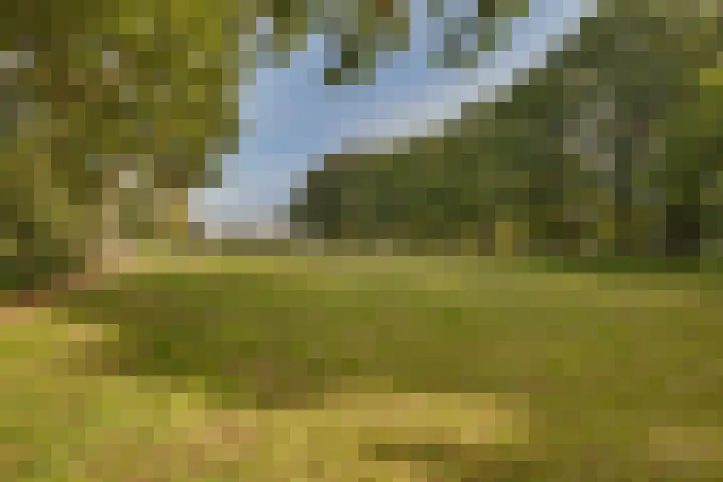 Molenweg 2 F Epe thumbnail 48