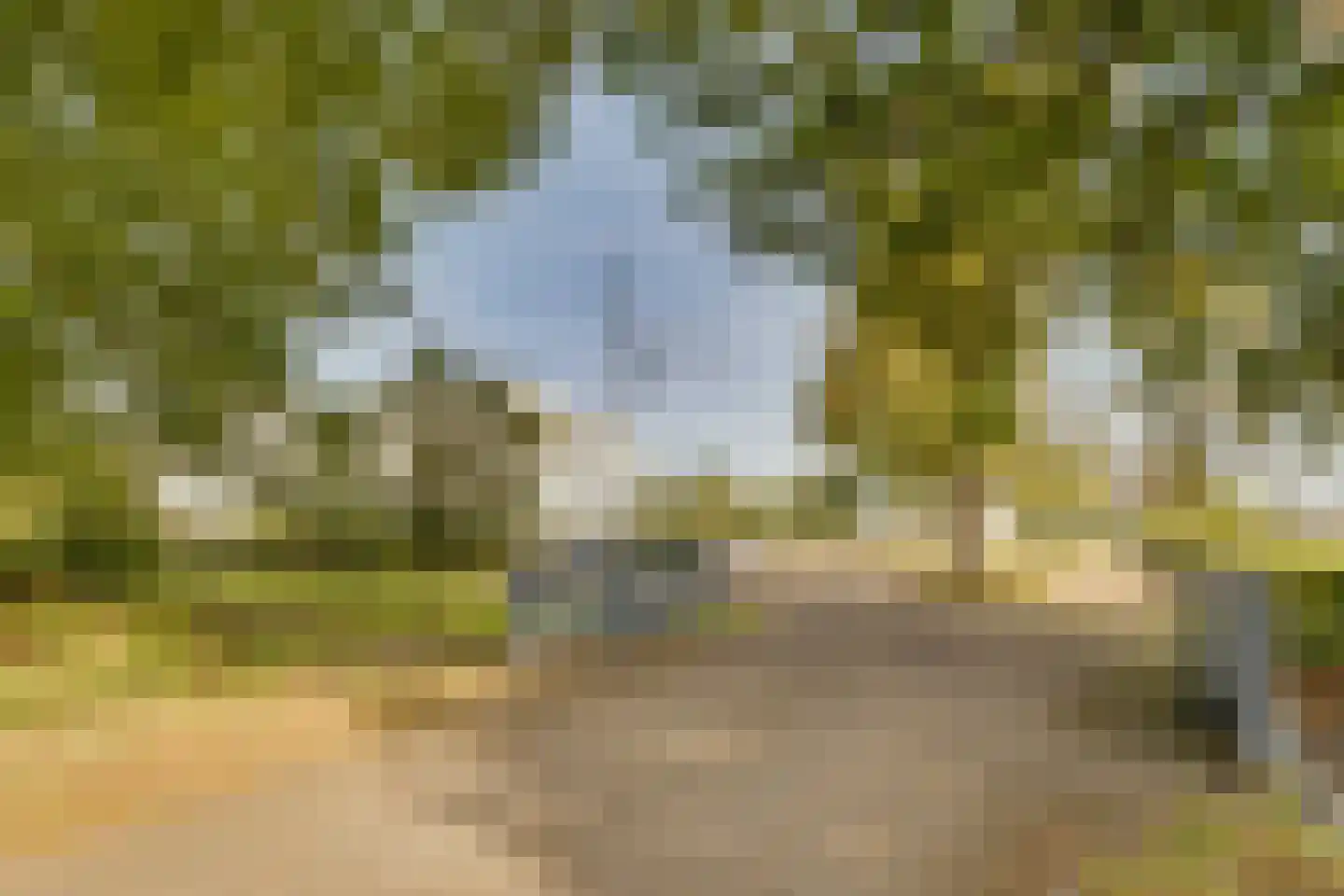 Molenweg 2 F Epe thumbnail 49