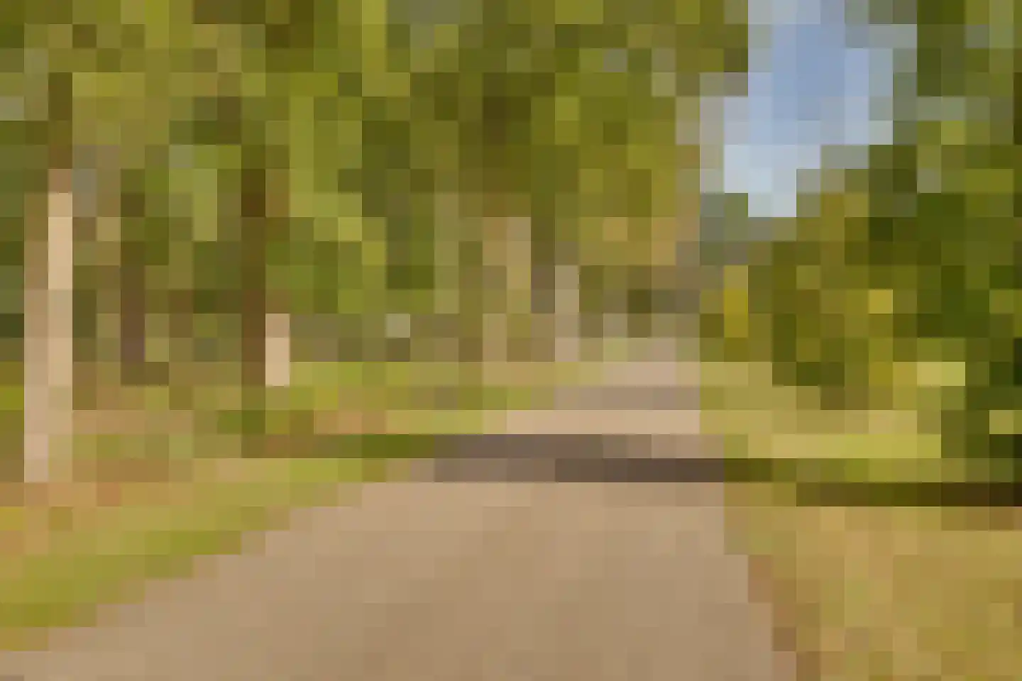 Molenweg 2 F Epe thumbnail 50