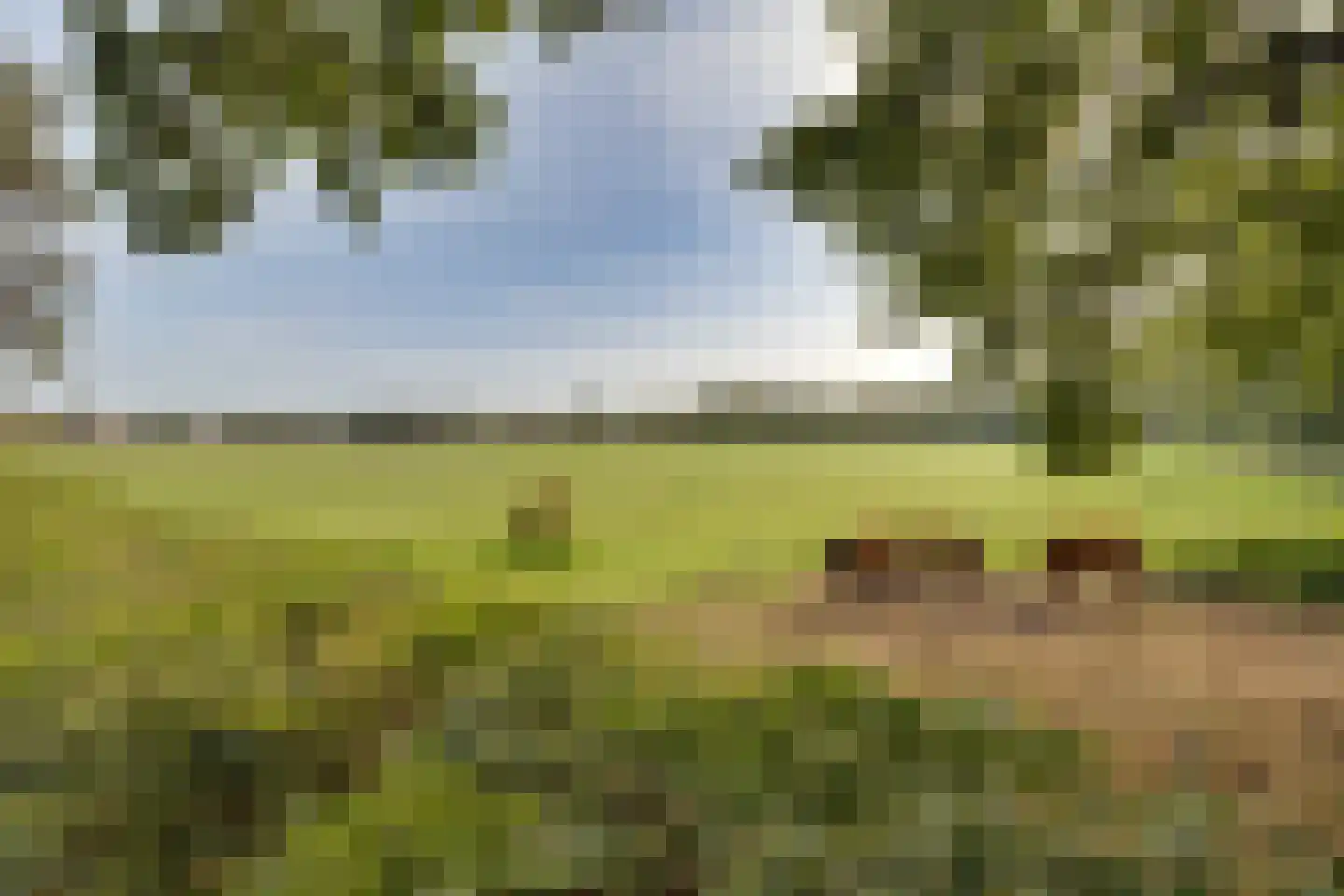 Molenweg 2 F Epe thumbnail 51