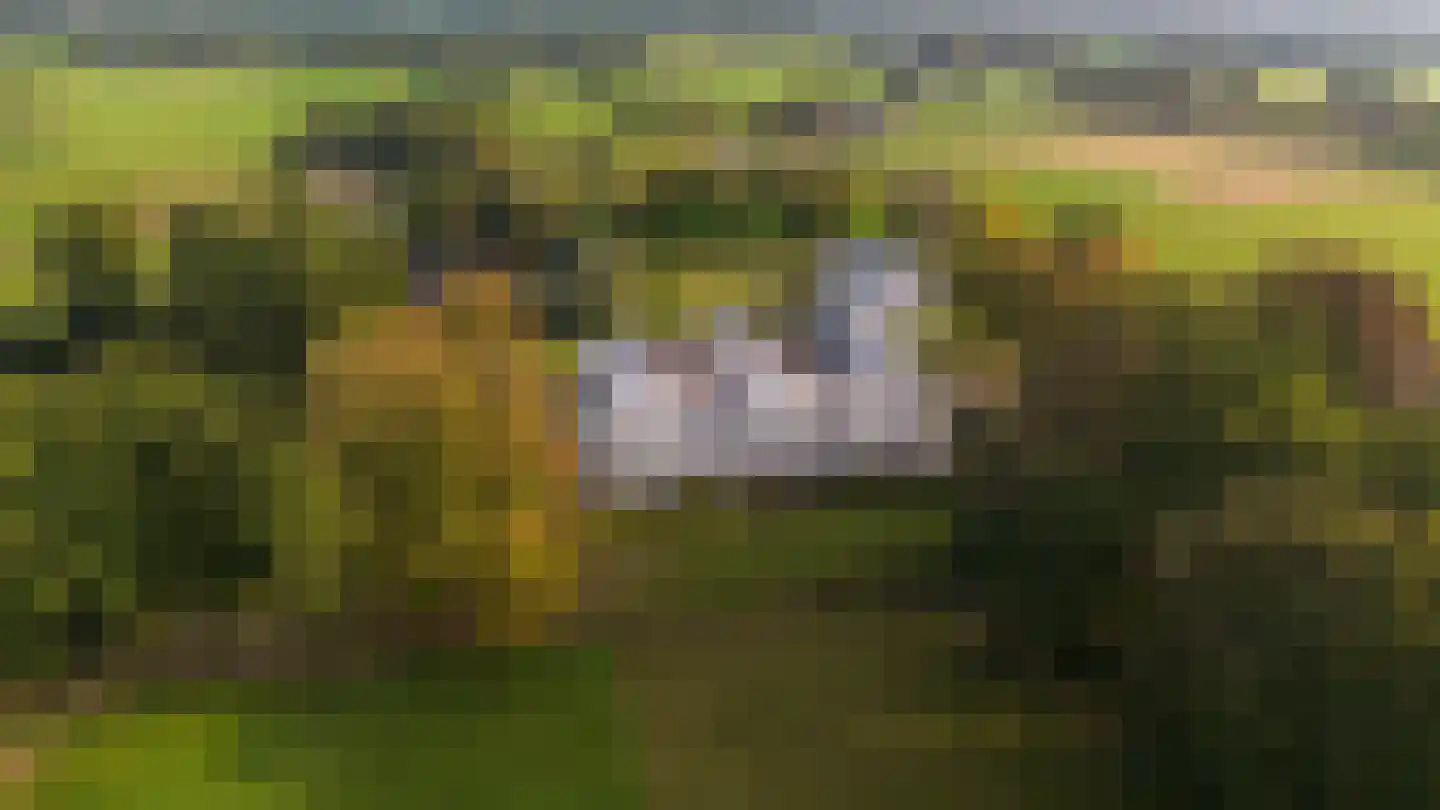Molenweg 2 F Epe thumbnail 52