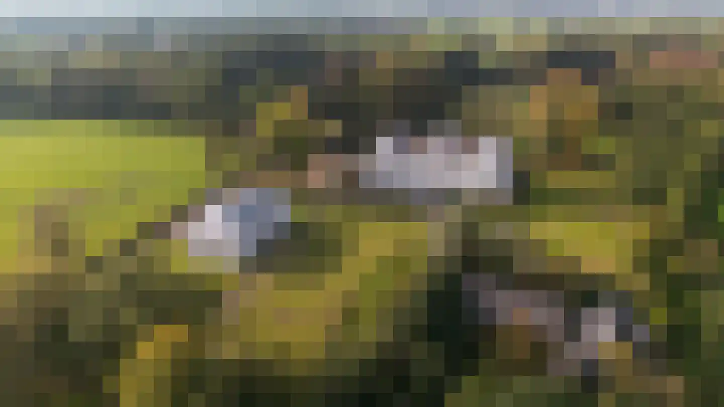 Molenweg 2 F Epe thumbnail 53