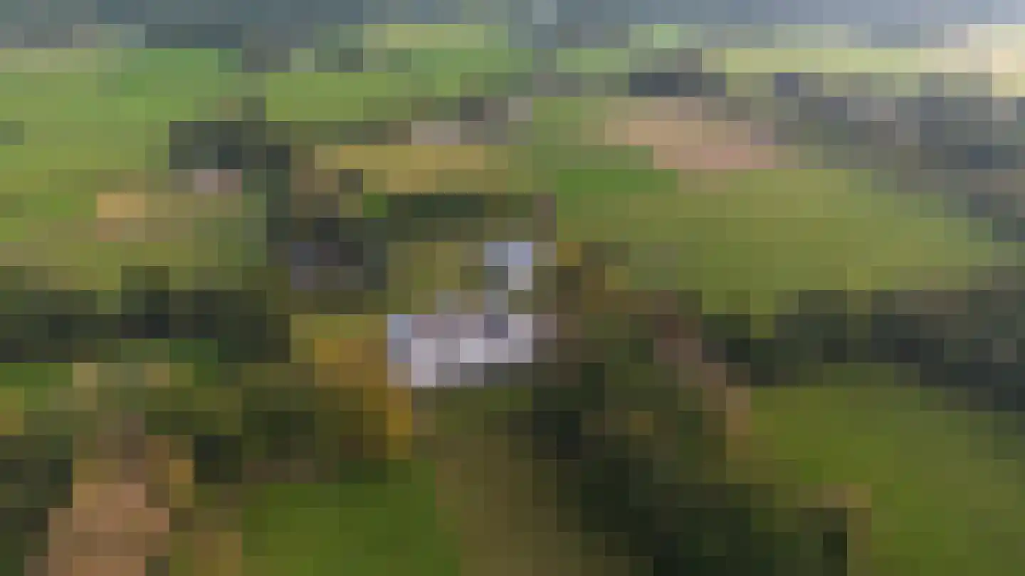 Molenweg 2 F Epe thumbnail 55