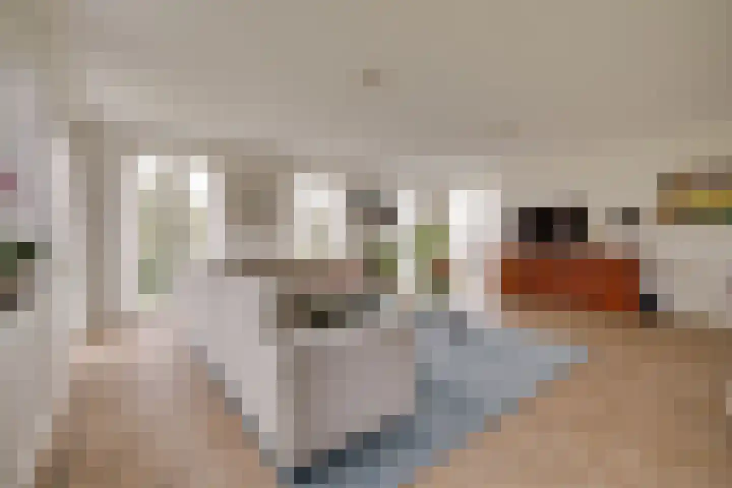 Molenweg 2 F Epe thumbnail 7