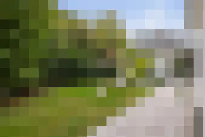 Molenweg 2 Gorssel thumbnail 10