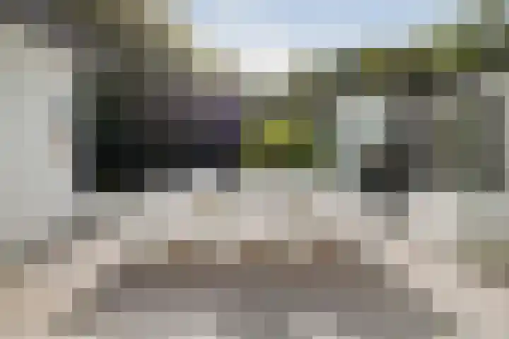 Molenweg 2 Gorssel thumbnail 11