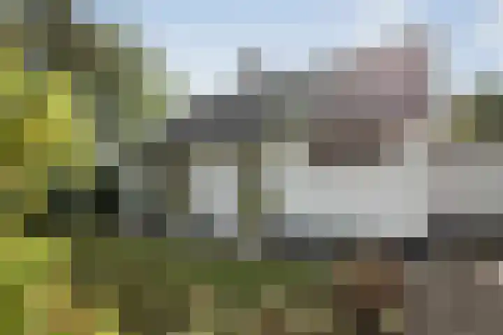 Molenweg 2 Gorssel thumbnail 13