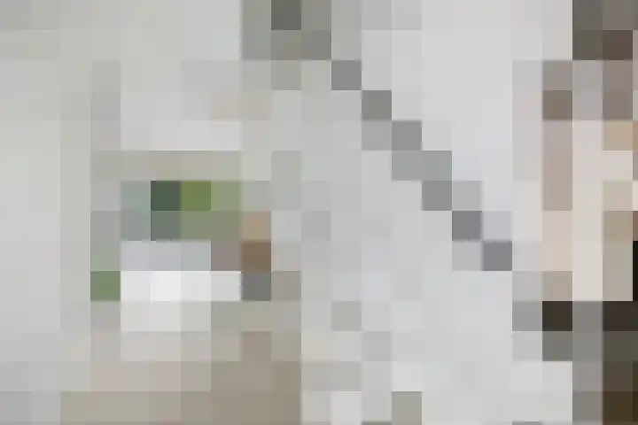 Molenweg 2 Gorssel thumbnail 14