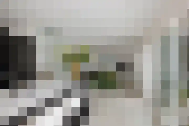 Molenweg 2 Gorssel thumbnail 17