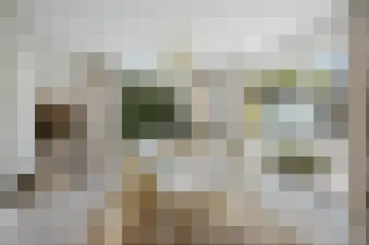 Molenweg 2 Gorssel thumbnail 18