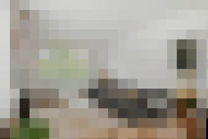 Molenweg 2 Gorssel thumbnail 20