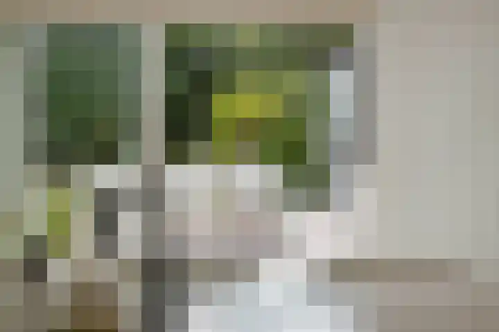 Molenweg 2 Gorssel thumbnail 22