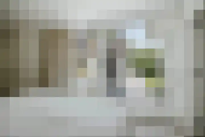 Molenweg 2 Gorssel thumbnail 29
