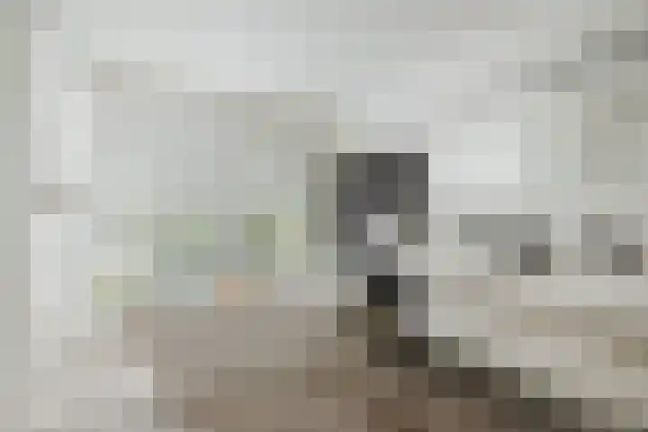 Molenweg 2 Gorssel thumbnail 30