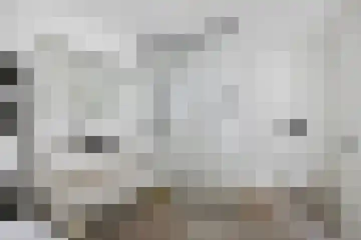 Molenweg 2 Gorssel thumbnail 31
