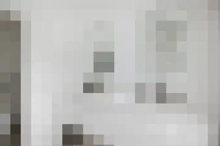 Molenweg 2 Gorssel thumbnail 34