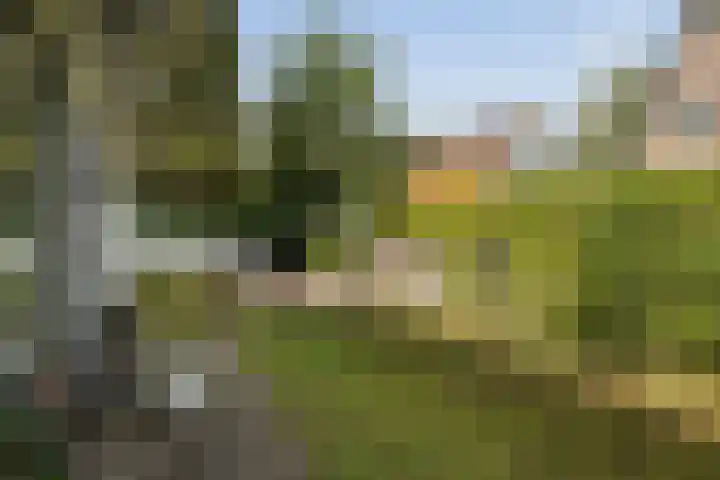 Molenweg 2 Gorssel thumbnail 44