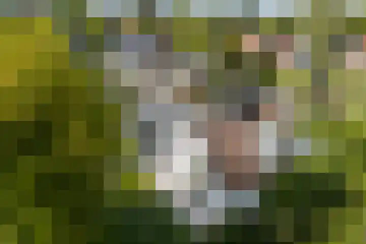 Molenweg 2 Gorssel thumbnail 45