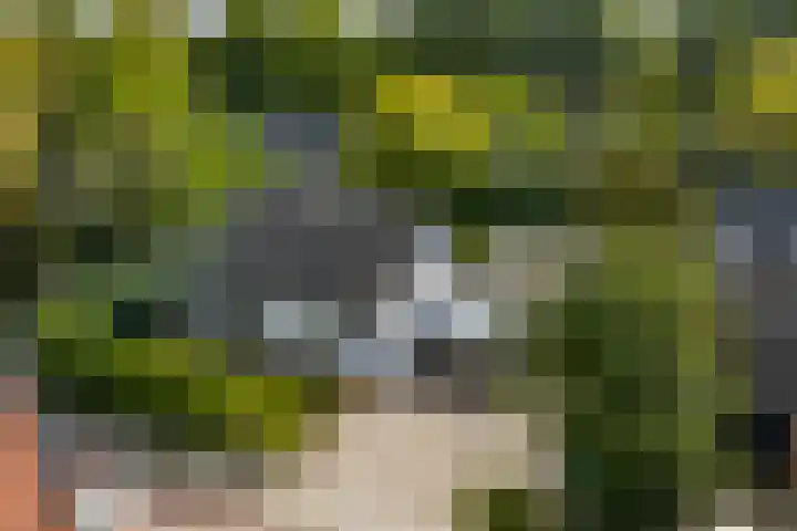 Molenweg 2 Gorssel thumbnail 46