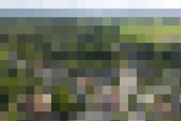 Molenweg 2 Gorssel thumbnail 48