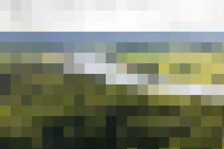 Molenweg 2 Gorssel thumbnail 49