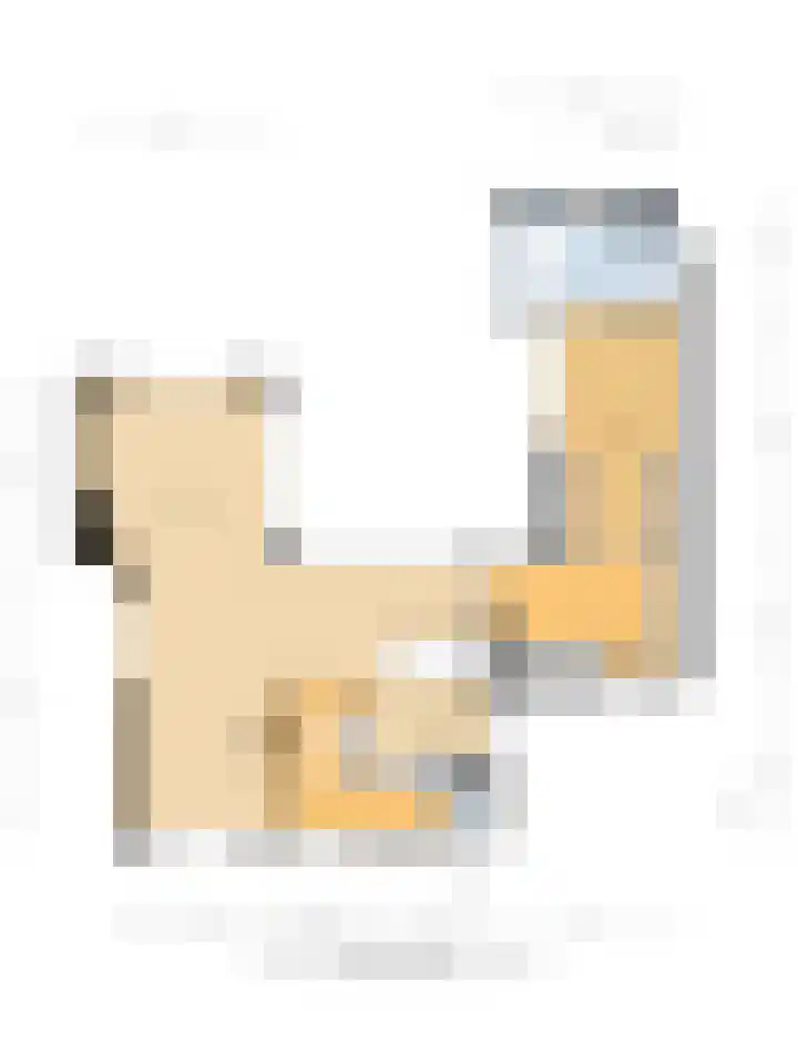 Molenweg 2 Gorssel thumbnail 51