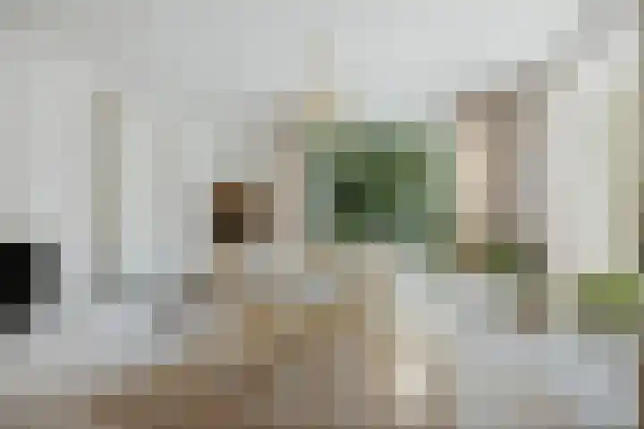 Molenweg 2 Gorssel thumbnail 6