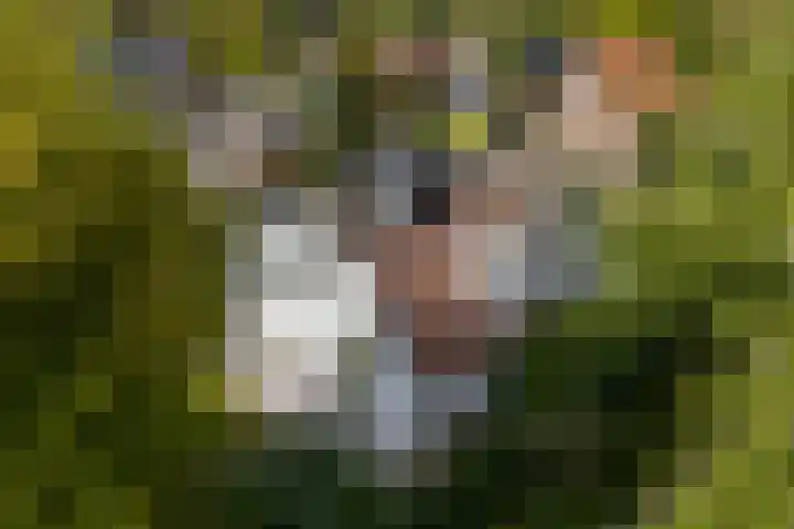 Molenweg 2 Gorssel thumbnail 7