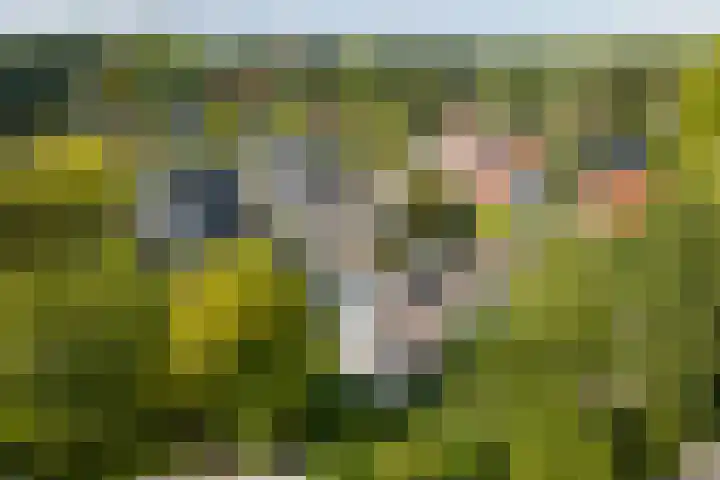 Molenweg 2 Gorssel thumbnail 8