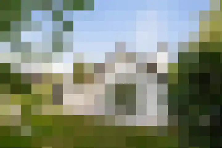 Molenweg 2 Gorssel thumbnail 9
