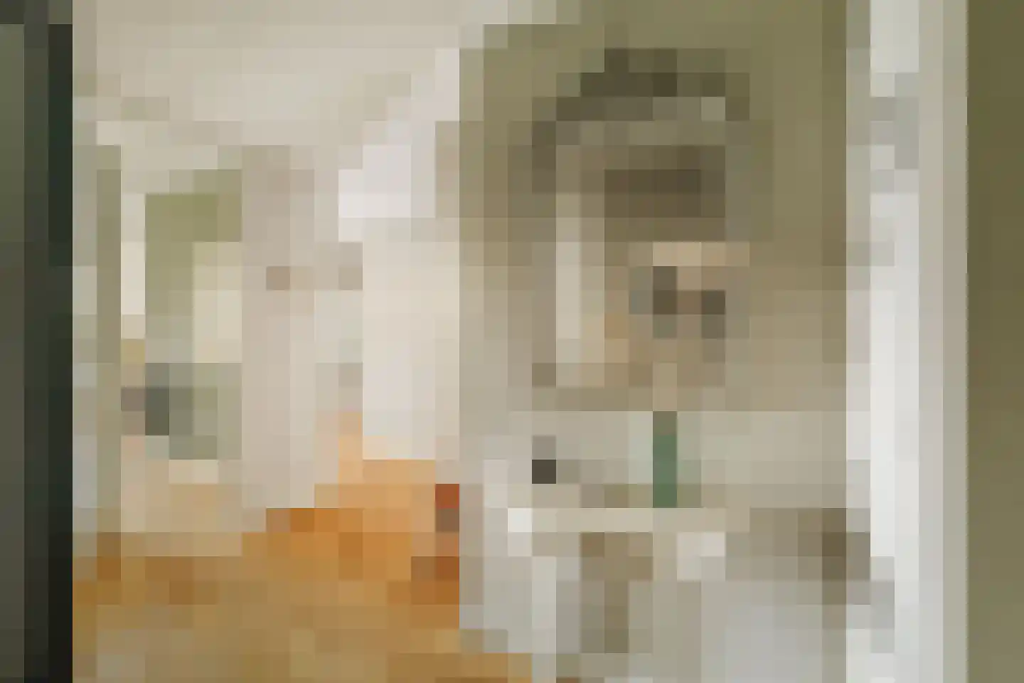 Molenweg 2 K Epe thumbnail 21