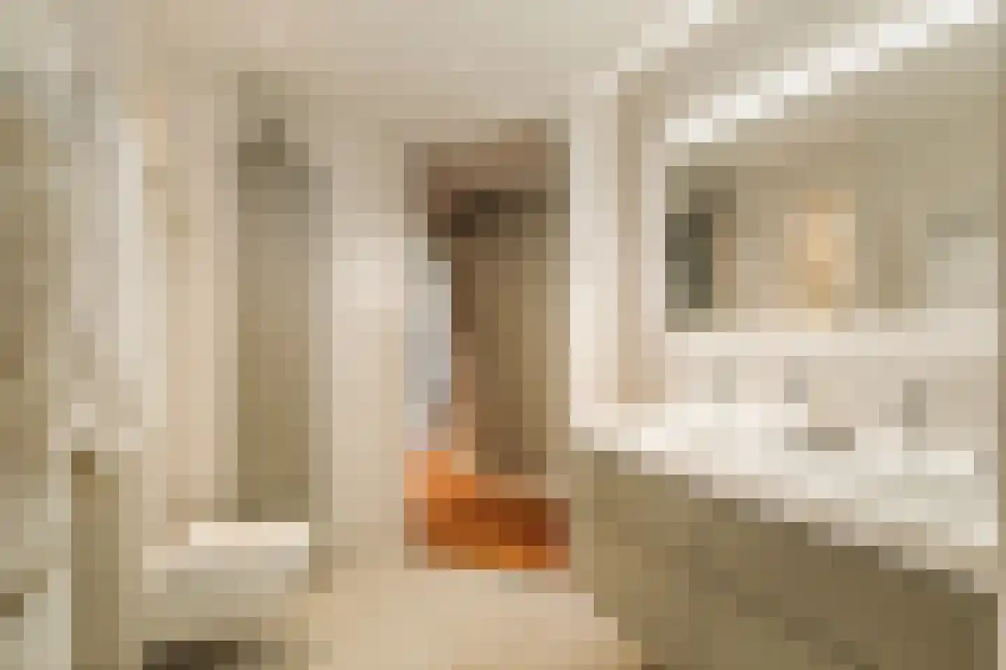Molenweg 2 K Epe thumbnail 30