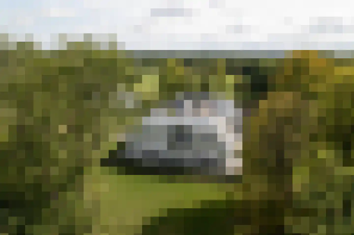 Molenweg 2 K Epe thumbnail 36