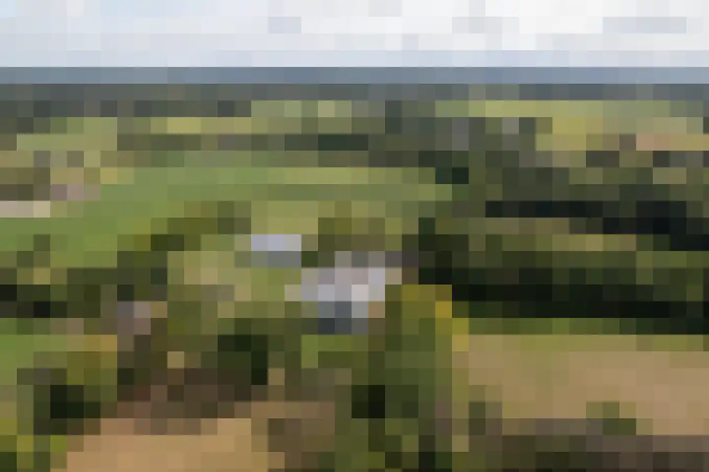 Molenweg 2 K Epe thumbnail 37
