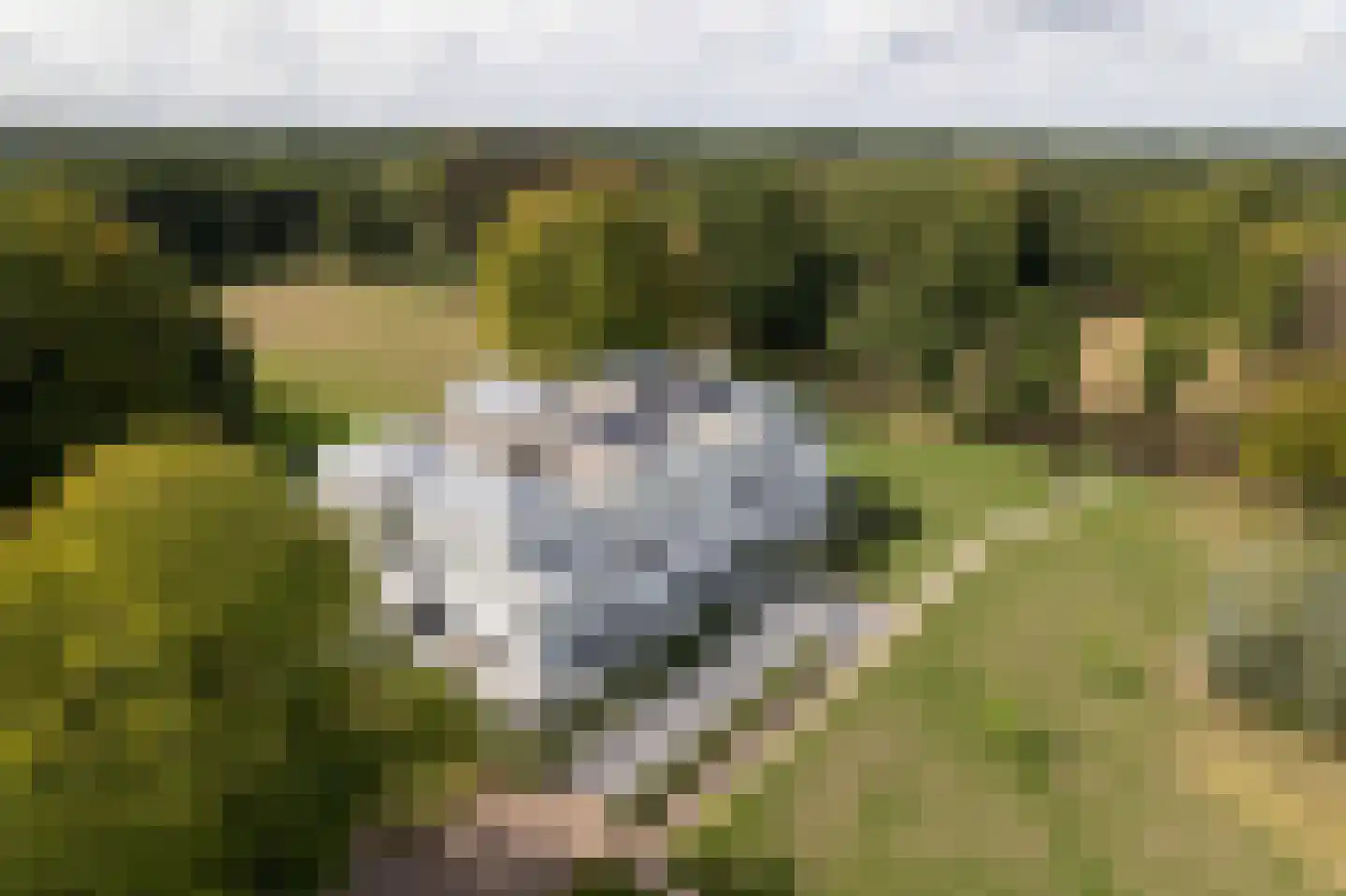 Molenweg 2 K Epe thumbnail 38