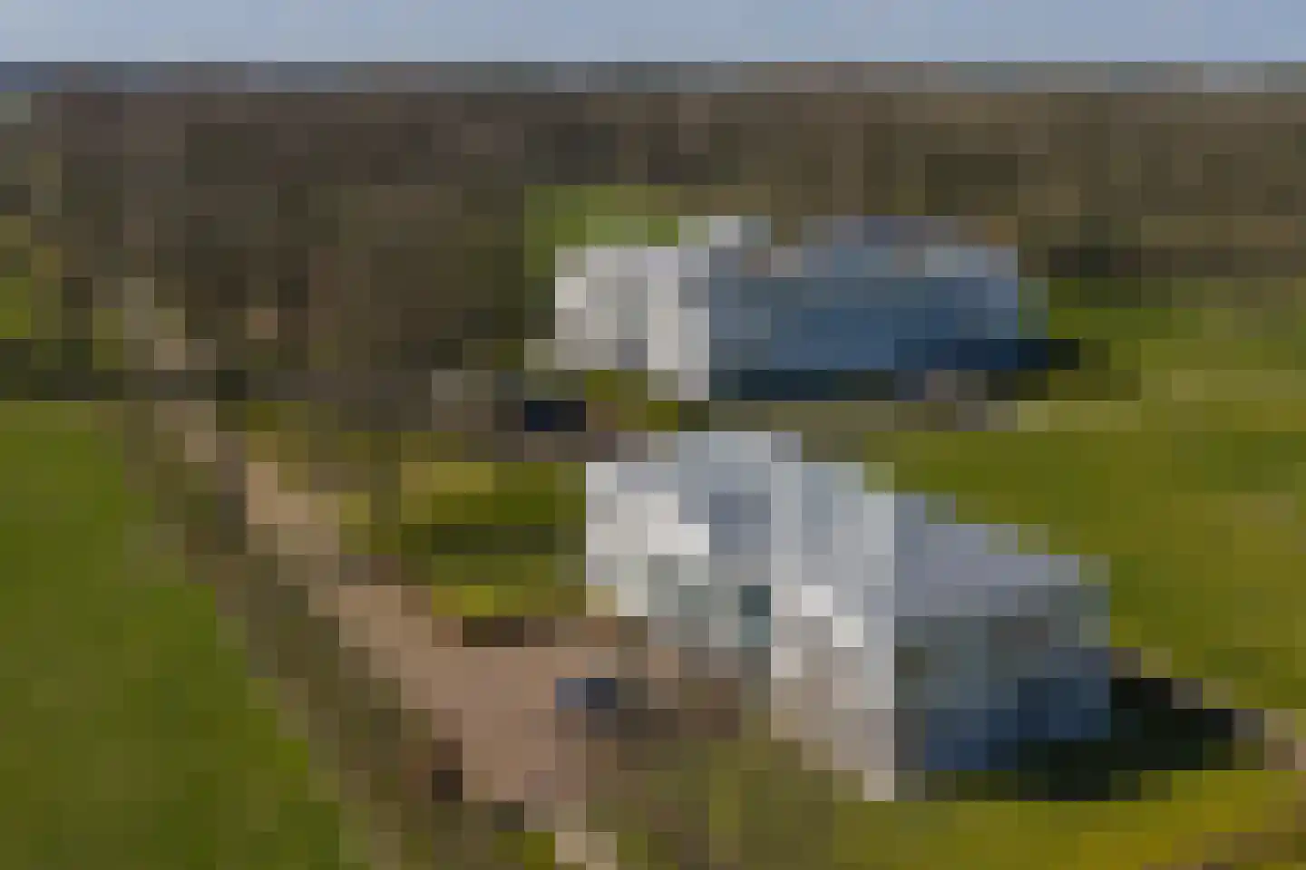 Molenweg 2 K Epe thumbnail 38